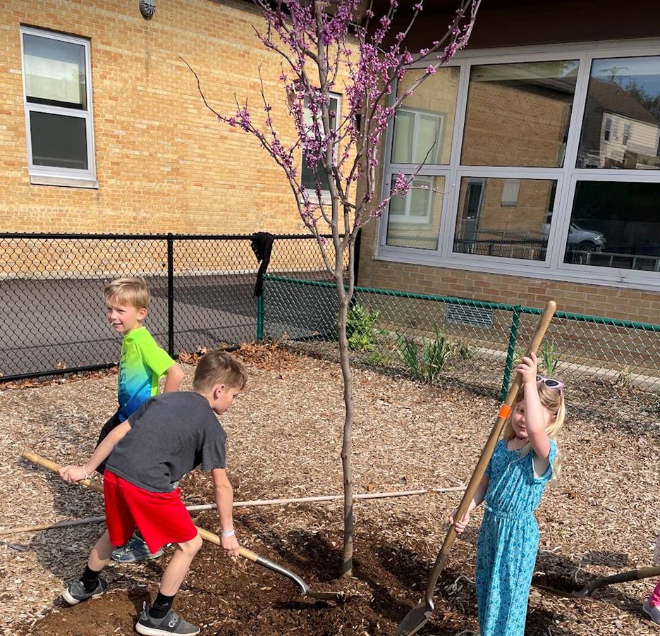 Young students on Evergreen campus tree planting, mulching